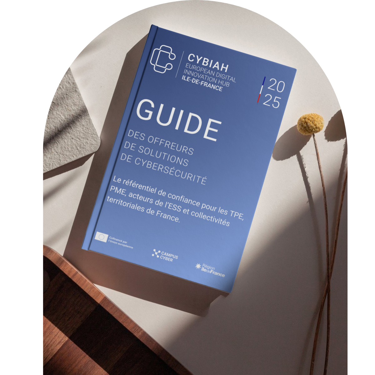 LinkedIn Guide des offreurs de solutions CYBIAH (2)